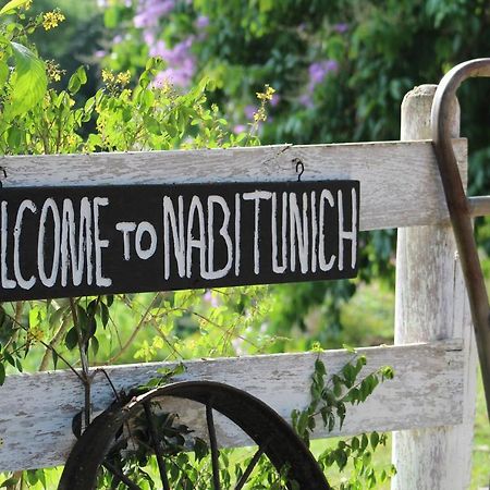 Nabitunich Villa Сан Игнасио Екстериор снимка